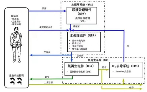 神舟十二號.jpg